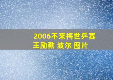 2006不来梅世乒赛 王励勤 波尔 图片